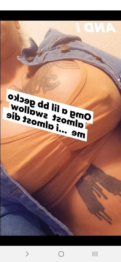 25P Allpha 2