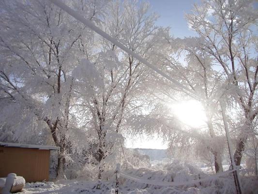 16P More Nature photos