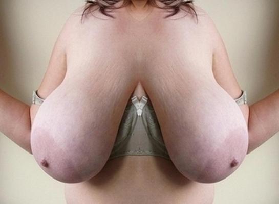 25P LACTATING UDDERS