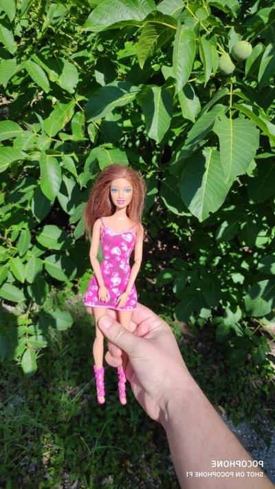 25P teresas vacation