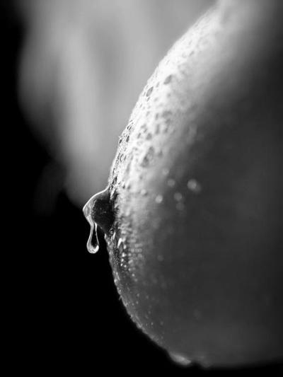 25P Hot black and white photography III