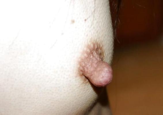 25P Tuesday treasure trails, hairy tits, spread pussy!
