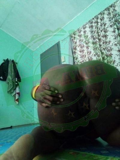 25P Bima