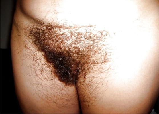 14P Nice hairy woman
