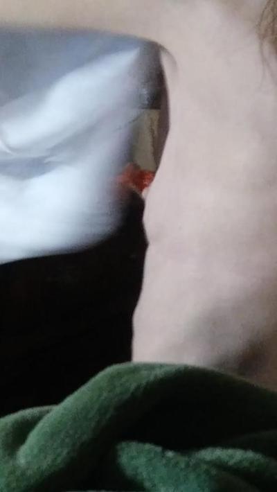 8P Без бюстгальтера 2
