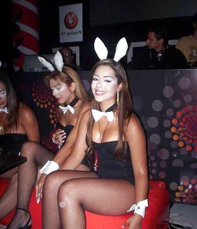 24P Bunny babes
