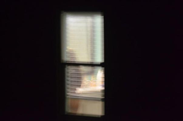 13P Neighbor's Pics