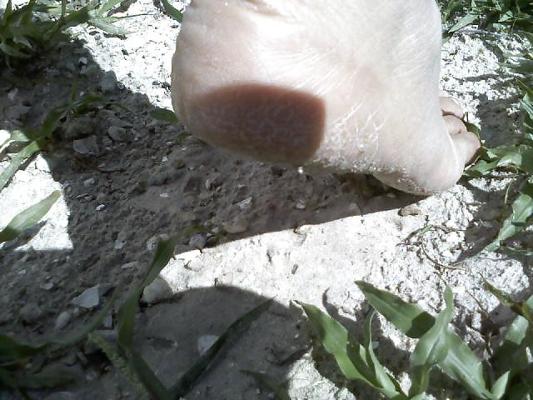 17P Cuban feet 