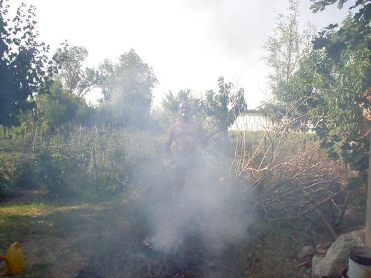 7P Me in garden fire